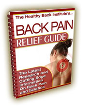 Lose the Back Pain book