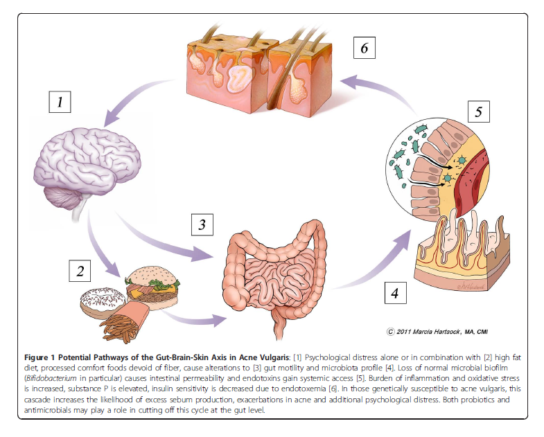 Kai Greene Signs With Weider