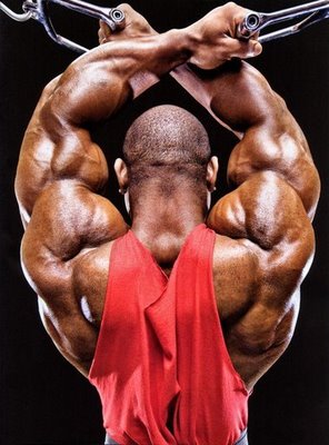 Goal-Specific AAS Cycles for the Serious Lifter Goal-Specific AAS Cycles for the Serious Lifter