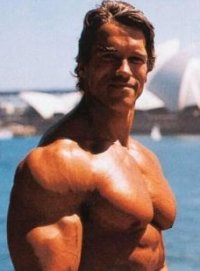 8 Secrets To Movie Star Muscle