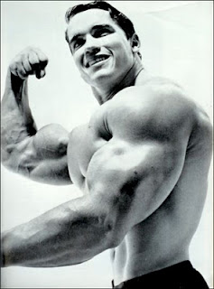 Weight Training and the Beginner Weight Training and the Beginner