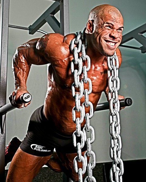 Pine bark extract offers no heart benefit