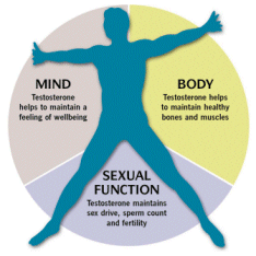 Mega-doses of vitamin D help prevent breast cancer and other diseases