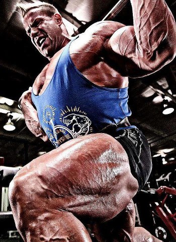 Plant Oil May Hold Key to Reducing Obesity-Related Medical Issues Plant Oil May Hold Key to Reducing Obesity-Related Medical Issues