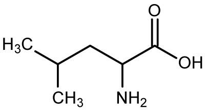 Different protein sources = different fat burning ability