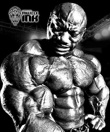 Creatine + Nitrite = Carcinogen