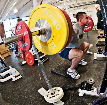 Tropical Blueberries Extremely High in Healthful Antioxidants