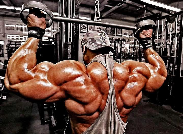 Protect health food and dietary supplements from attack by opposing new Congressional bill