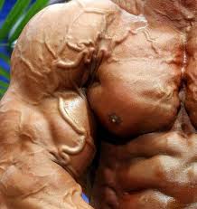 Are There Any Secrets Left in Bodybuilding?