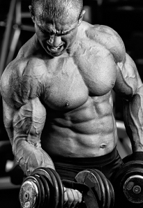 testosterone-gain-muscles
