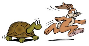 Hare-and-Tortoise