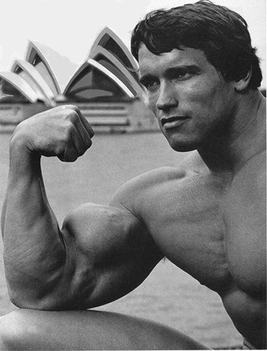 What Every Aspiring Bodybuilder Should Know From the Start What Every Aspiring Bodybuilder Should Know From the Start