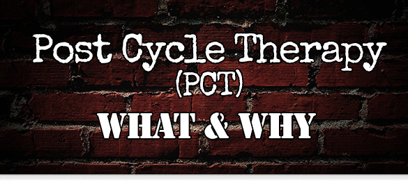 pct-post-cycle-therapy-serms