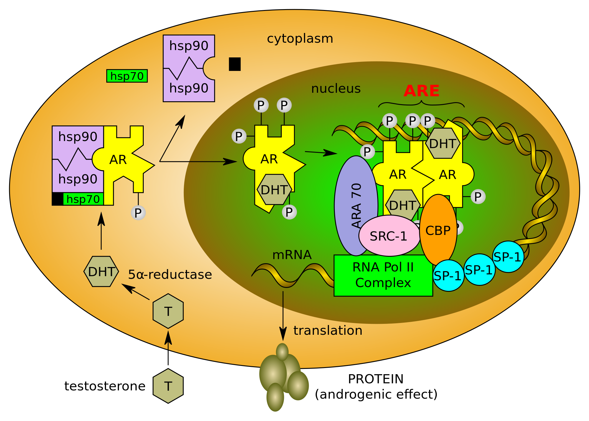 Marijuana And Cancer: Cannabis Compound Stops Metastasis In Aggressive Cancers