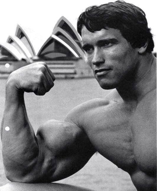 Arnold-Schwarzenegger-biceps-focus