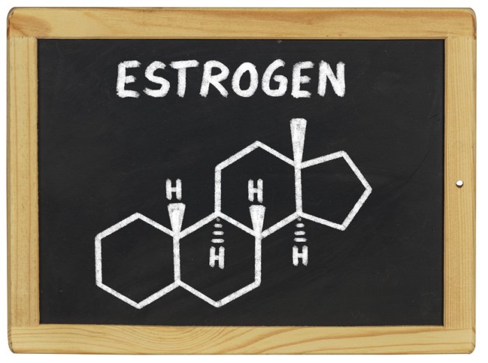 estrogen-chalkboard
