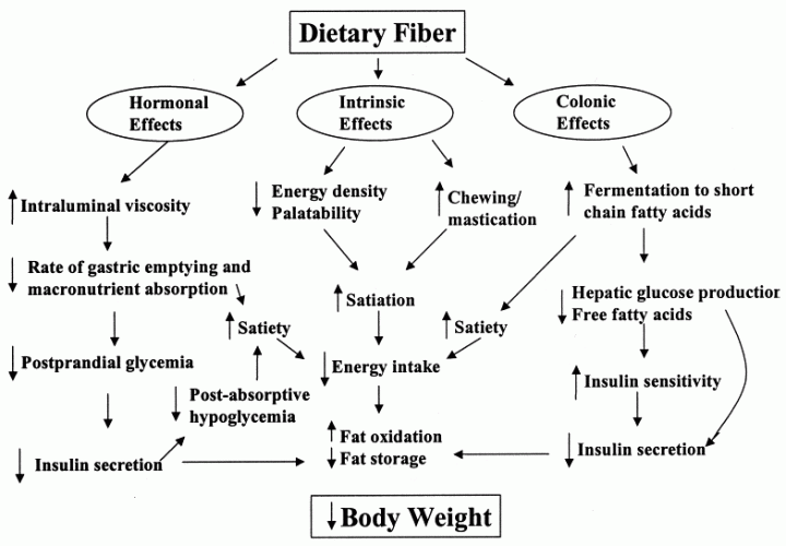 dietary-fiber