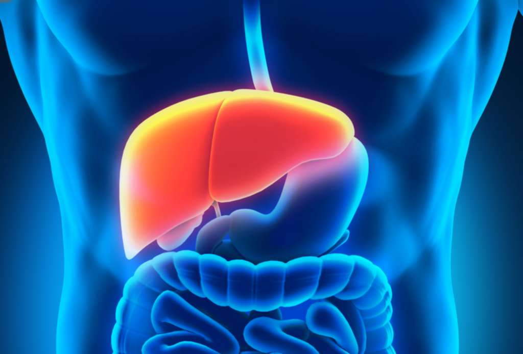 Anabolic Steroids and Liver Toxicity