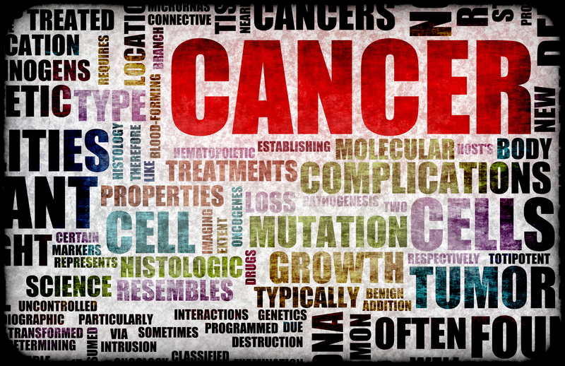 Echinacea not an effective endurance sports supplement