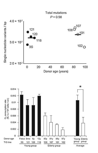 Testosterone therapy can increase chance of heart attack