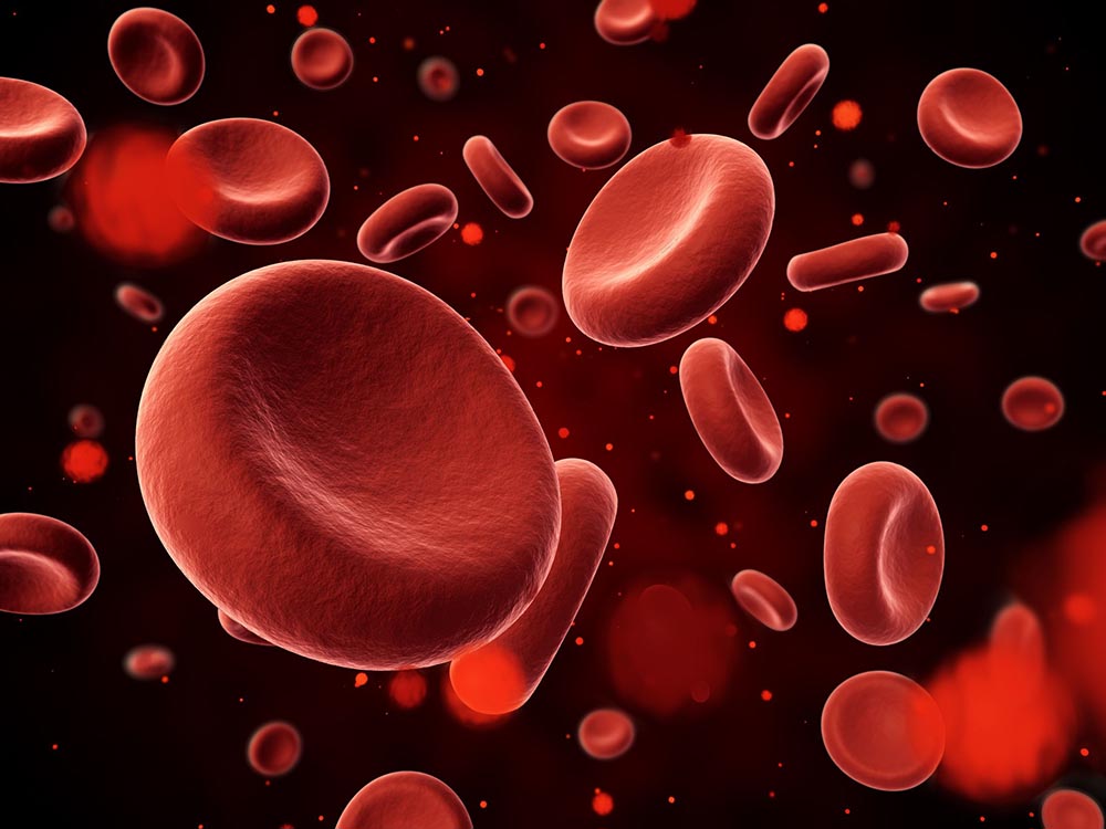 Anabolic Steroids and Red Blood Cells
