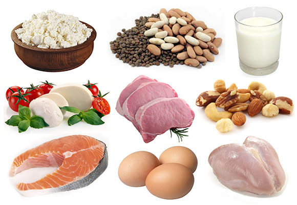 Best Protein Sources for Building Lean Muscle