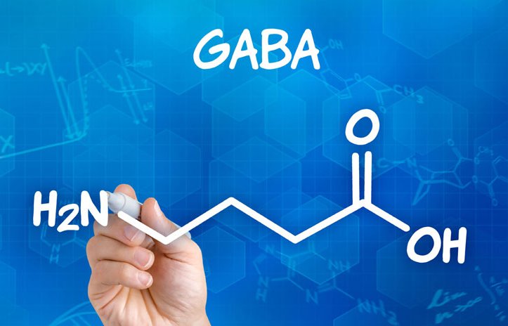 GABA: The Forgotten Amino Acid