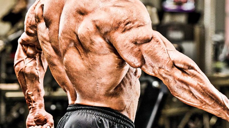 5 Common Anabolic Steroid Myths