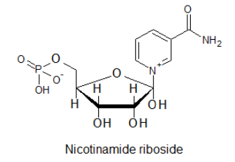 Nicotinamide riboside extends life expectancy and rejuvenates muscles
