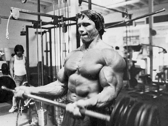 arnold-muscle-range-of-motion