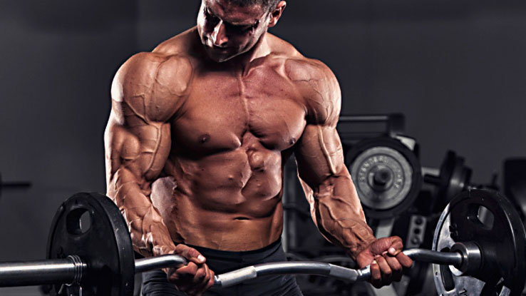 Elevate Muscular Endurance and Pumps with Beetroot Juice