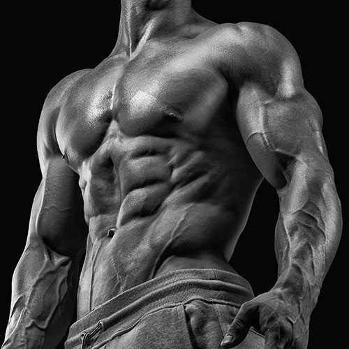 Minerals and Muscle