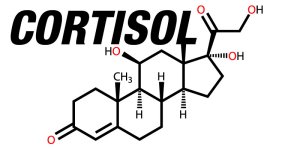 Increased cortisol levels from chronic stress make you fat