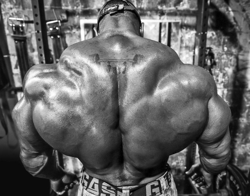 How to Build a Bigger Back