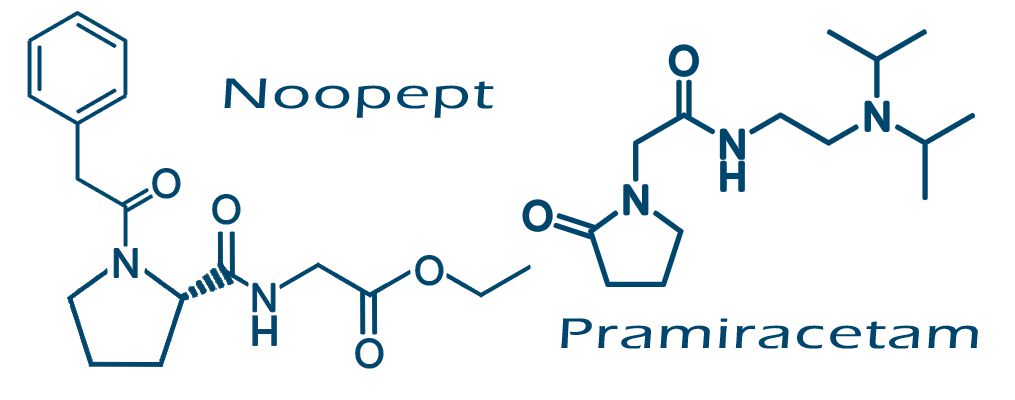 Piracetam and the Racetam Family