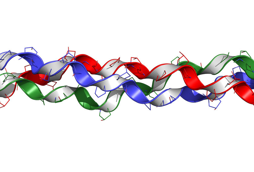 Bone Broth Protein: Yah or Nah?