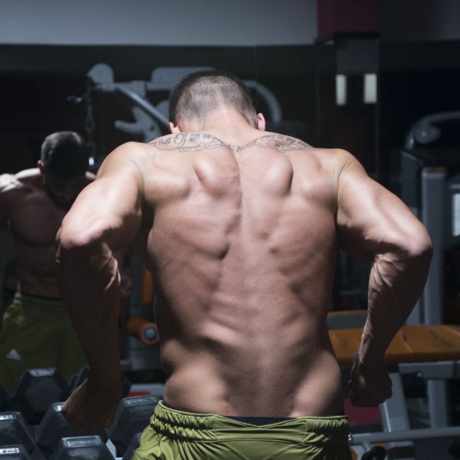 Control Leptin and Control Your Leanness!