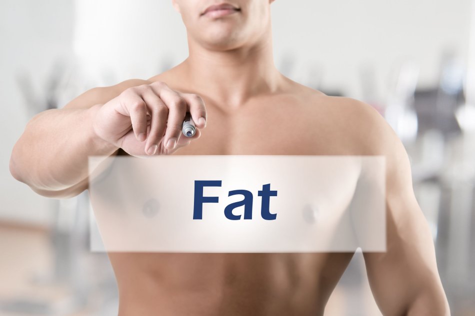 Bedtime Snacks with Protein Do NOT Cause Fat Gain