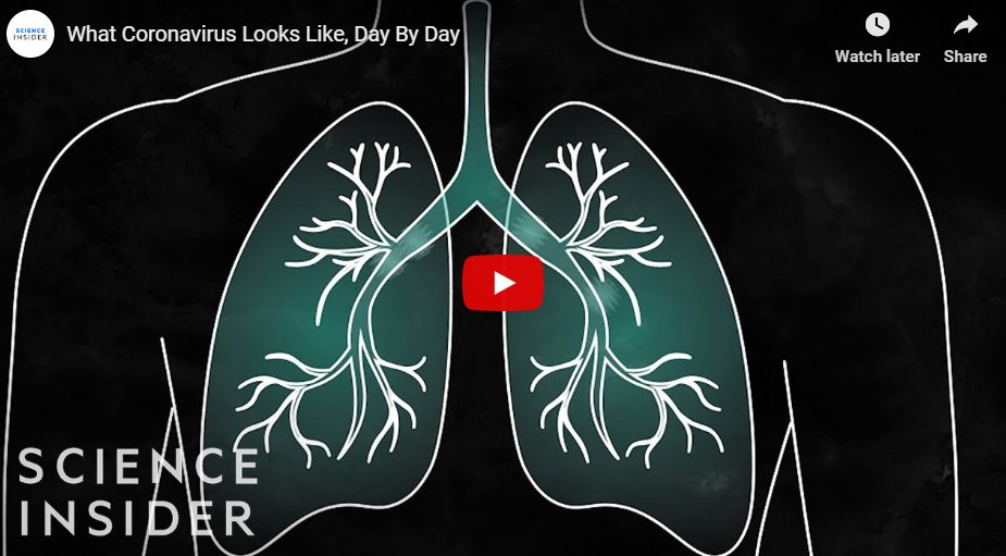 What Coronavirus Looks Like, Day By Day What Coronavirus Looks Like, Day By Day