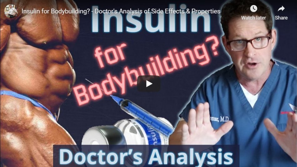 Insulin – From the Mid 90’s To Now Insulin – From the Mid 90’s To Now