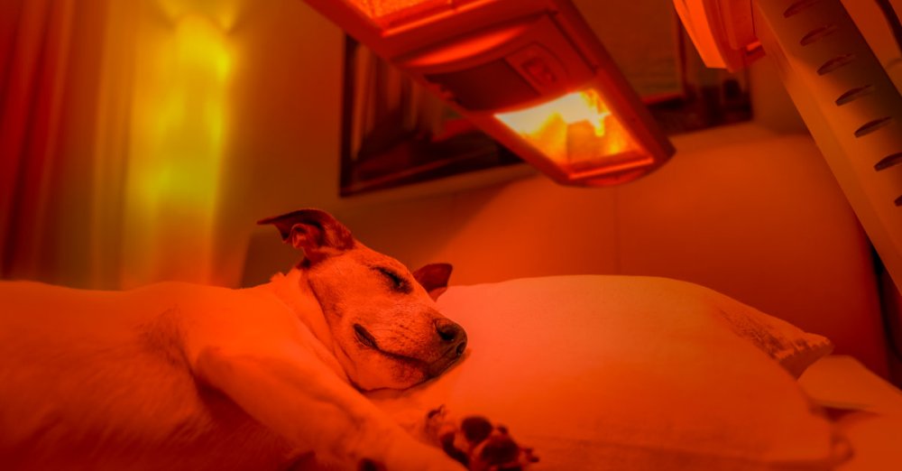 Did You Know About These Red Light Therapy Benefits?