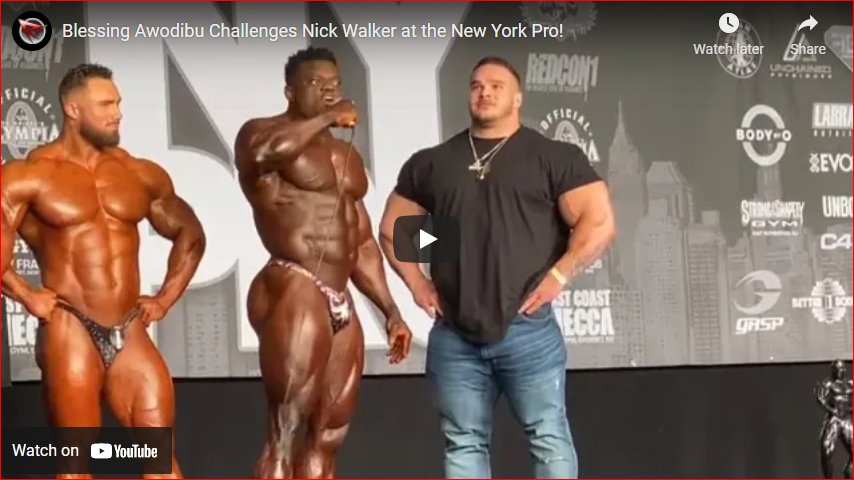 Blessing Awodibu and Nick Walker: The Feud’s Back On! Blessing Awodibu and Nick Walker: The Feud’s Back On!