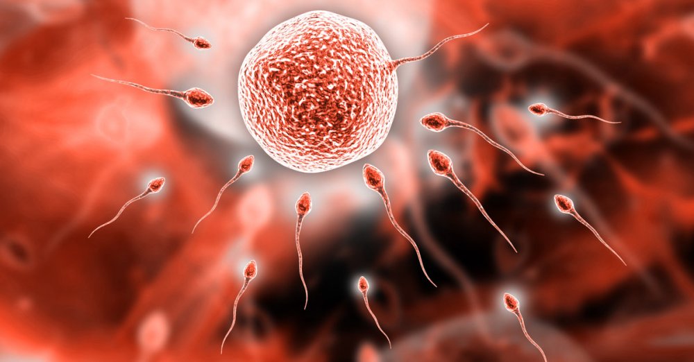 Benefits of Zinc for Sperm Quality and Overall Male Fertility