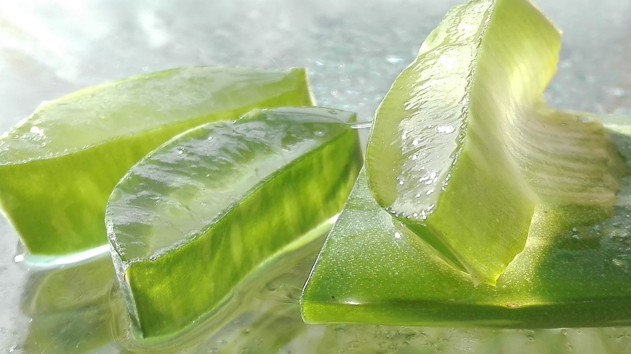 The Importance and Many Health Benefits of Aloe Vera Juice The Importance and Many Health Benefits of Aloe Vera Juice