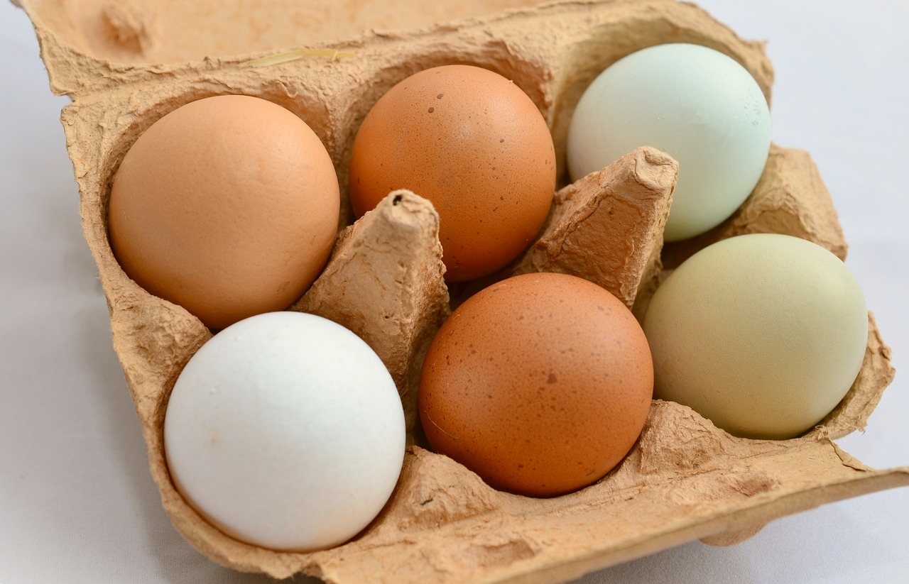 Are Brown Eggs or White Eggs Better for You? Are Brown Eggs or White Eggs Better for You?