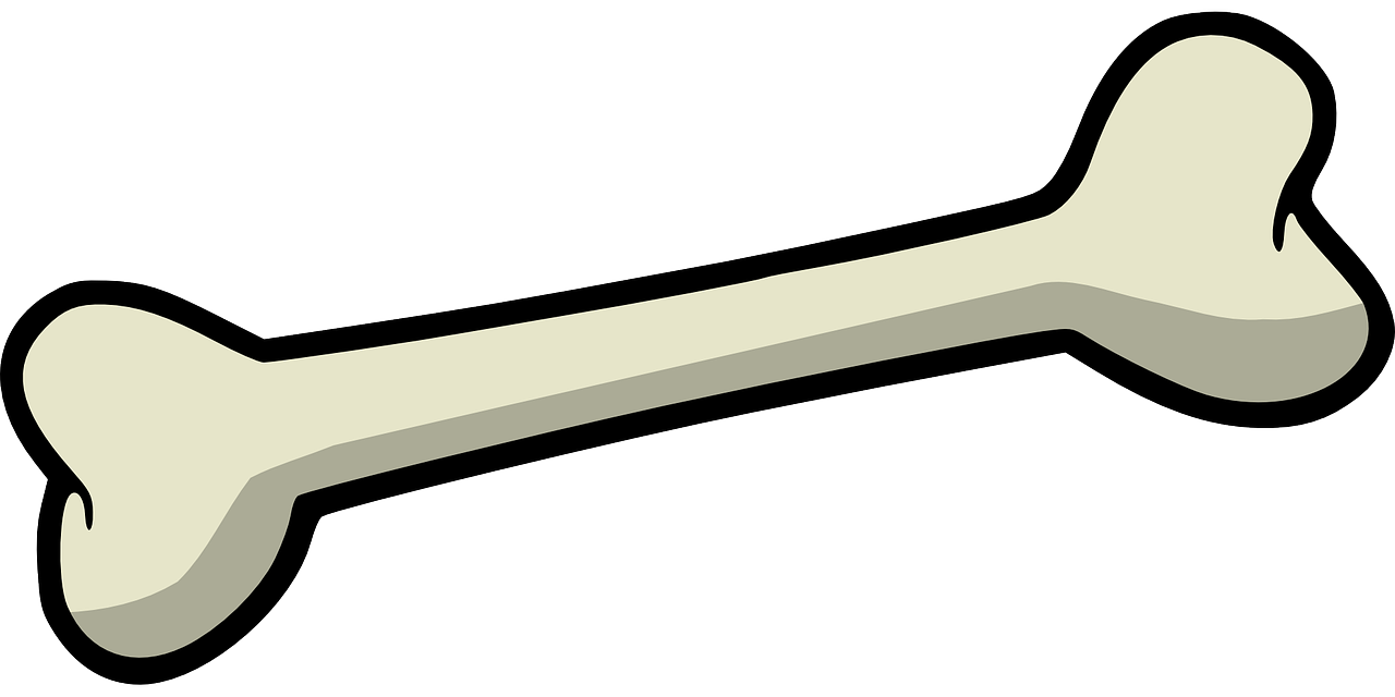 The Ultimate Guide to Improving Your Bone Health The Ultimate Guide to Improving Your Bone Health