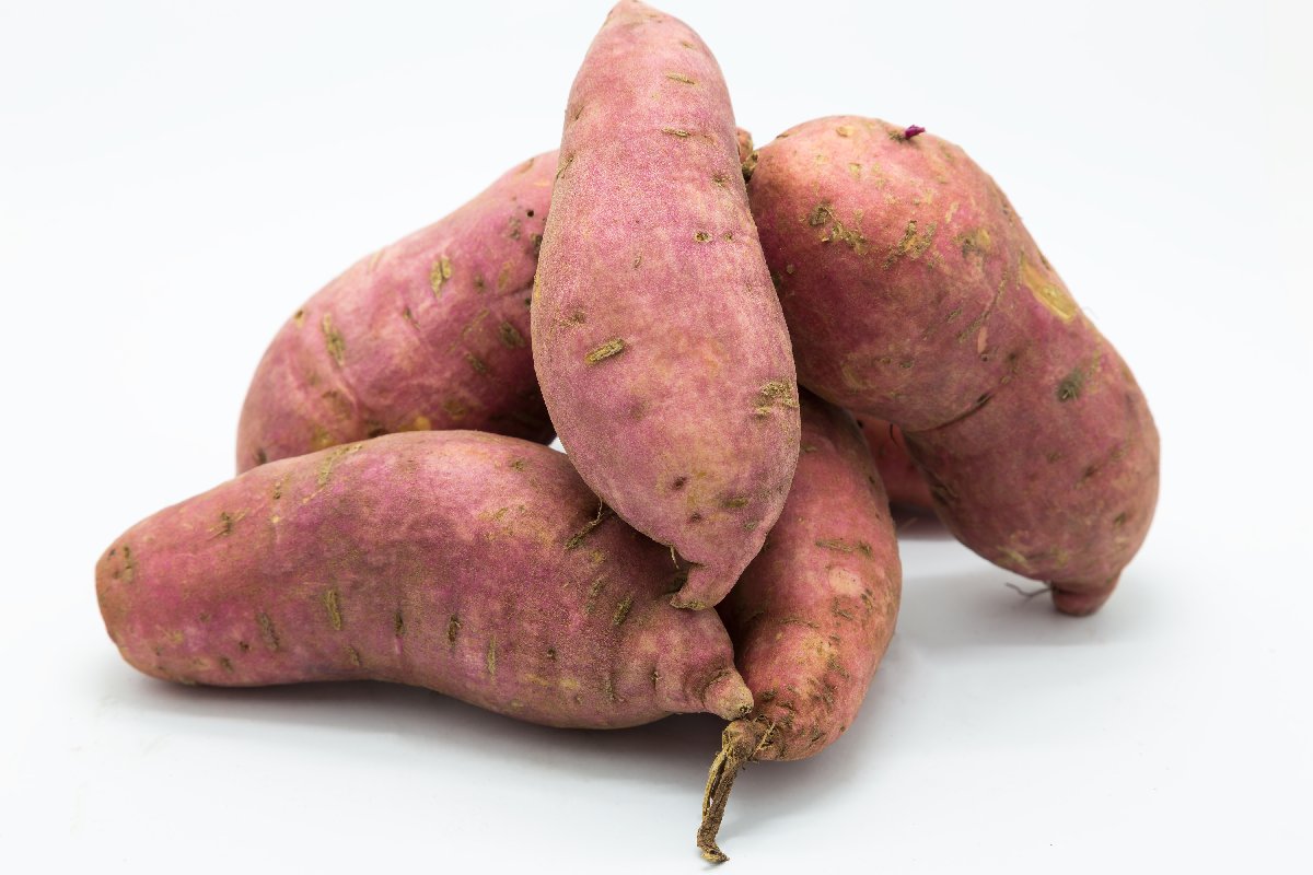 12 Reasons Why You Should Add Sweet Potatoes to Your Diet 12 Reasons Why You Should Add Sweet Potatoes to Your Diet