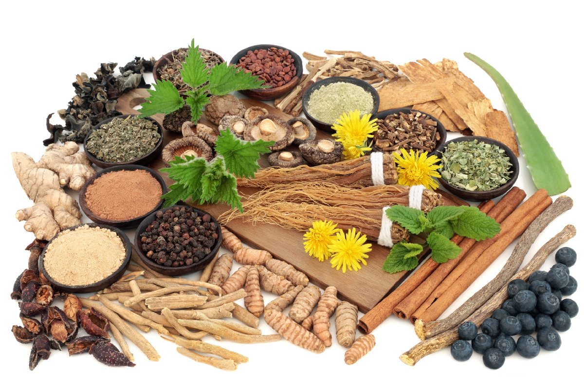 6 Adaptogenic Herbs You Need in Your Life Immediately