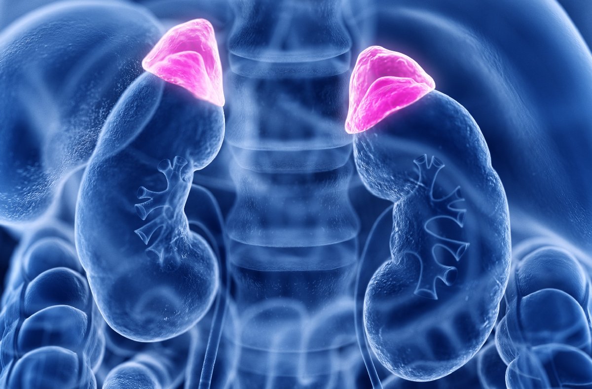 Is it Possible for You to Overcome Adrenal Fatigue?