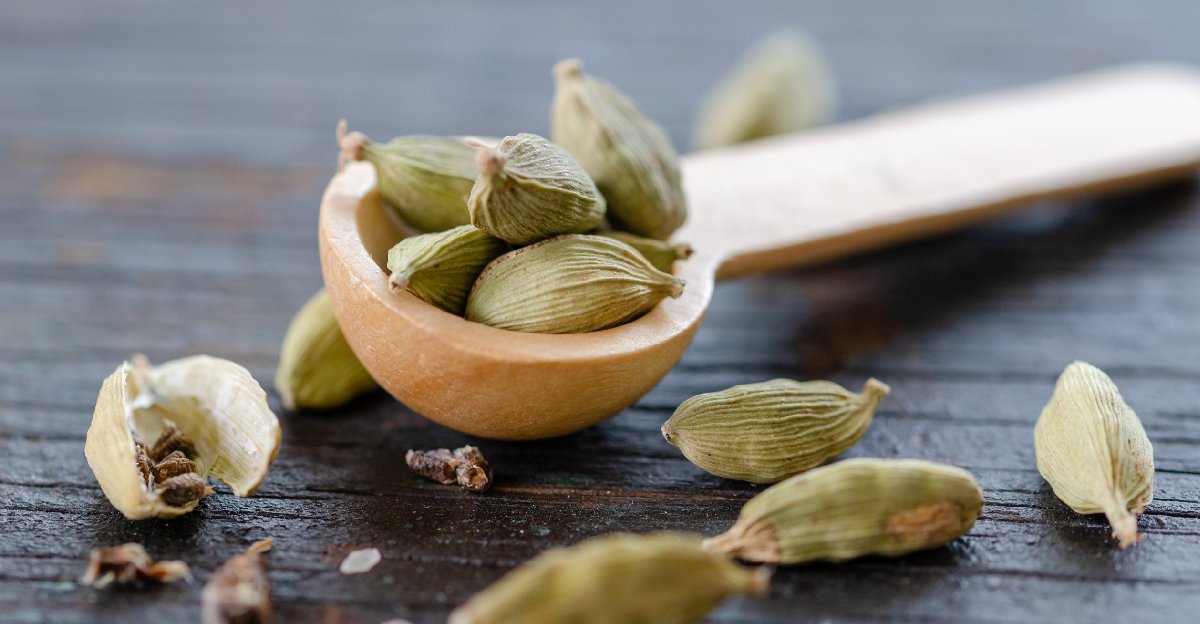 5 Health Benefits of Cardamom & Why You Should Use It 5 Health Benefits of Cardamom & Why You Should Use It